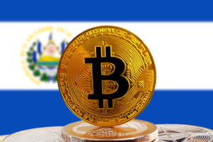 El Salvador Holds Over 2,300 Tokens after BTC Purchase