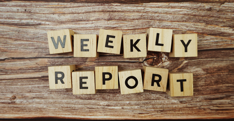 Weekly Report: BitMEX Founder Fined and More