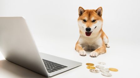 Battle of Meme Coins: Buy DOGE or SHIB?