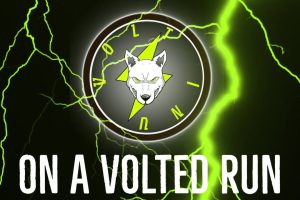 Volt Inu (VOLT) Listing on Gate.io While Their Marketing Strategy Continues to Grow