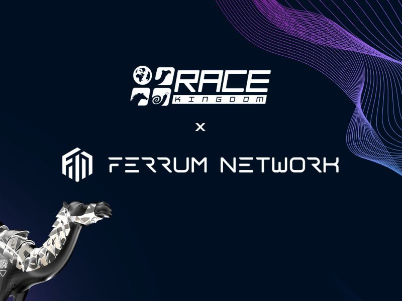Most Anticipated P2E Game Race Kingdom partners with Leading DeFi company Ferrum Network