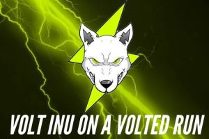 Voltichange Ready to Enhance the Volt Inu Universe
